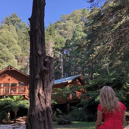 Chudleigh Park Cottages Sassafras Luaran gambar