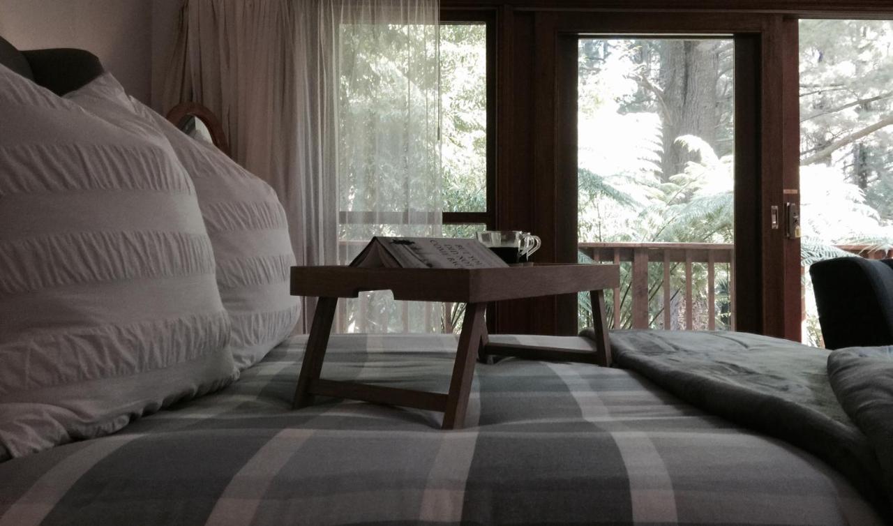 Chudleigh Park Cottages Sassafras Luaran gambar