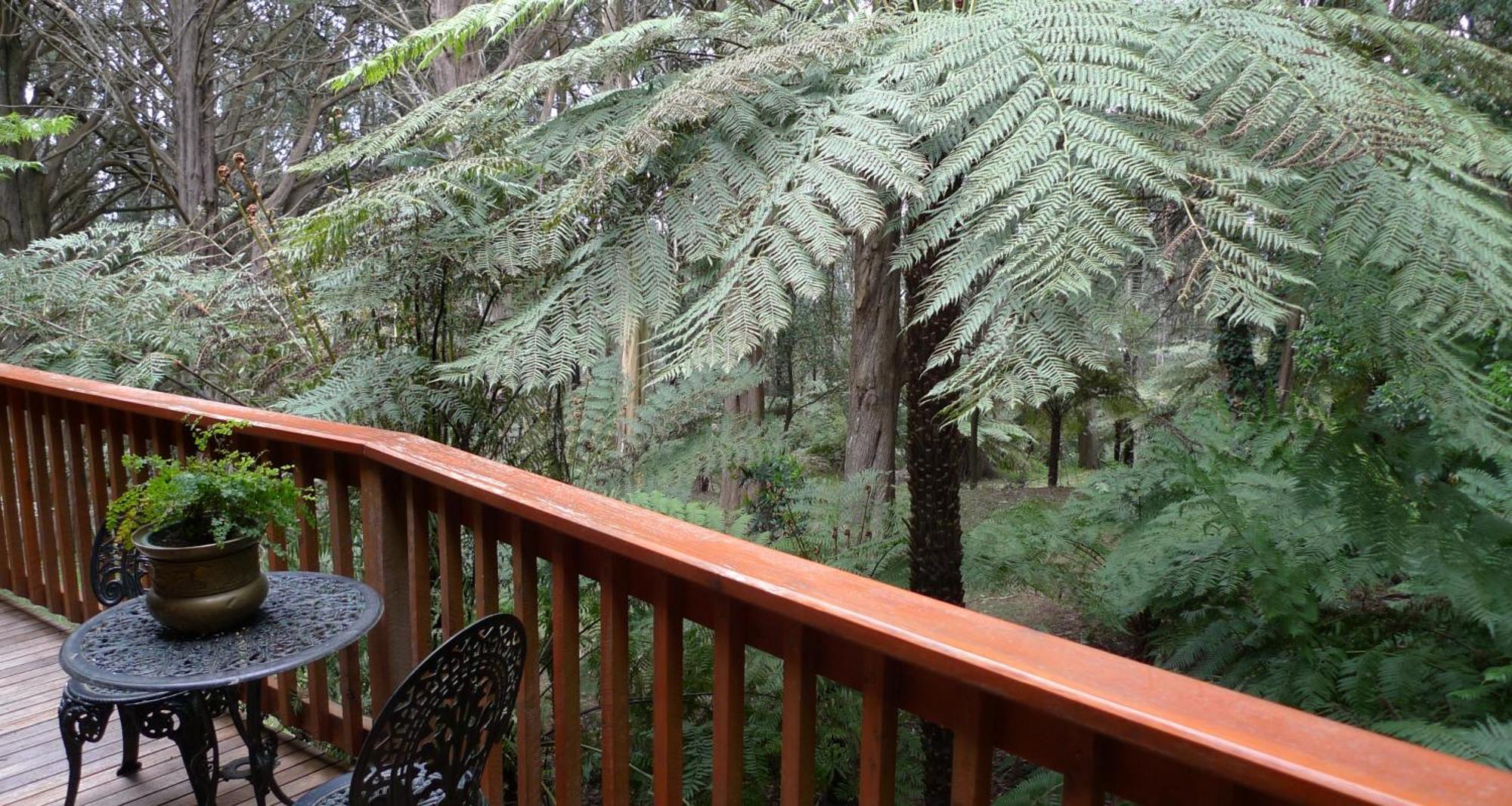 Chudleigh Park Cottages Sassafras Luaran gambar